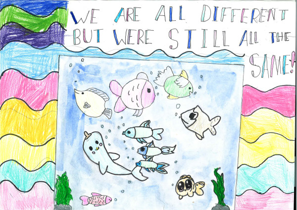 Poster featuring a rainbow background and various kinds of fish. The top of the poster reads We are all different but were still all the same!.
