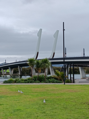 Photo of bridge in Whangārei